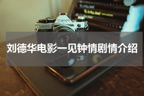 刘德华电影一见钟情剧情介绍
