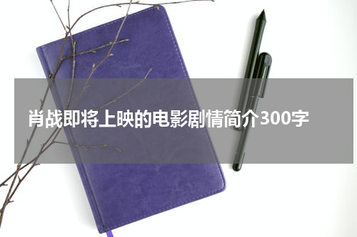 肖战即将上映的电影剧情简介300字