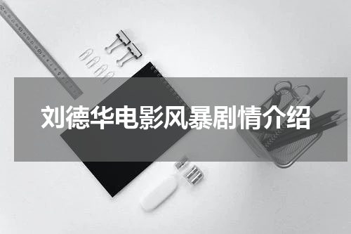 刘德华电影风暴剧情介绍