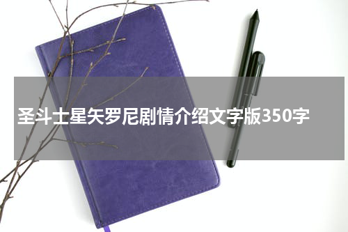 圣斗士星矢罗尼剧情介绍文字版350字