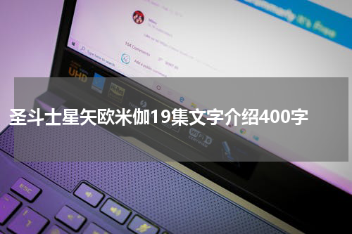 圣斗士星矢欧米伽19集文字介绍400字