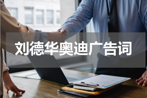 刘德华奥迪广告词