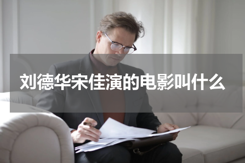 刘德华宋佳演的电影叫什么