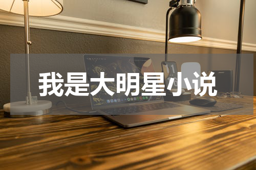 我是大明星小说