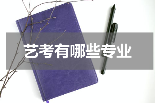艺考有哪些专业
