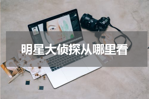 明星大侦探从哪里看