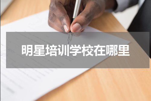明星培训学校在哪里