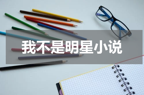 我不是明星小说