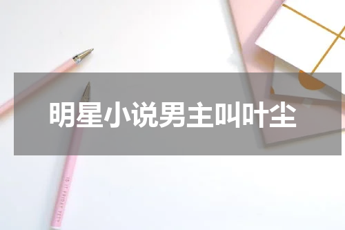 明星小说男主叫叶尘