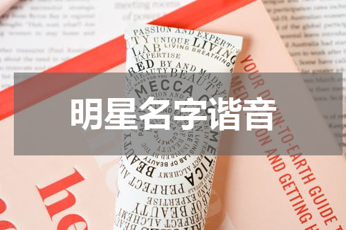 明星名字谐音
