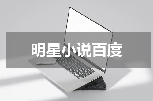 明星小说百度