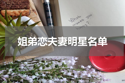 姐弟恋夫妻明星名单