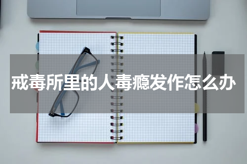 戒毒所里的人毒瘾发作怎么办