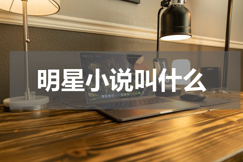 明星小说叫什么