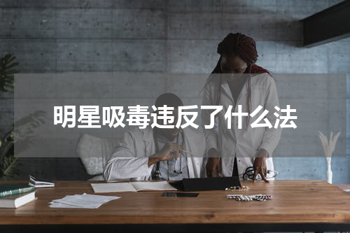 明星吸毒违反了什么法