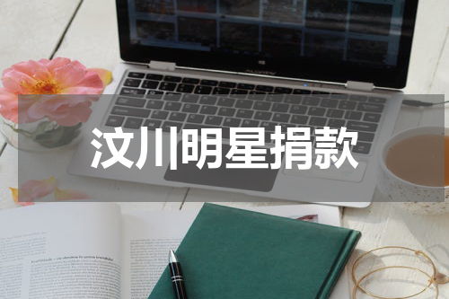 汶川明星捐款