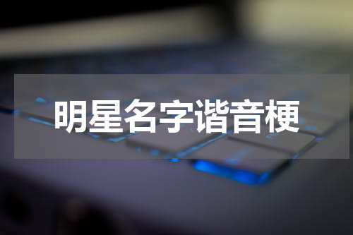 明星名字谐音梗