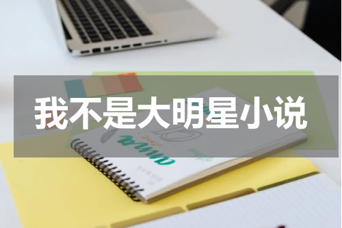我不是大明星小说