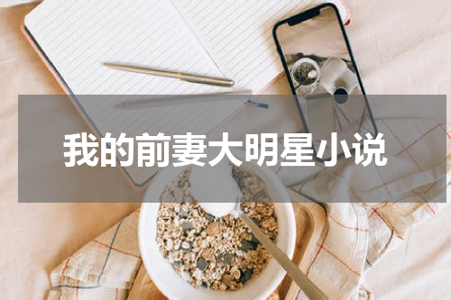 我的前妻大明星小说