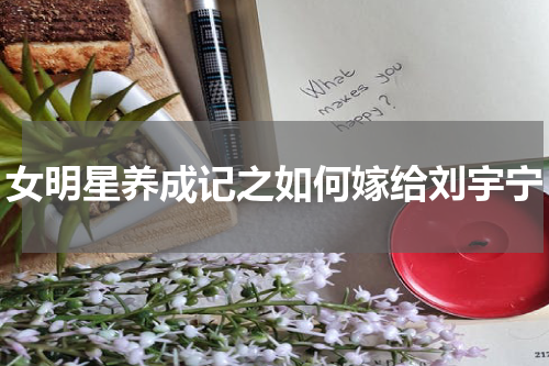 女明星养成记之如何嫁给刘宇宁