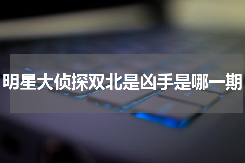 明星大侦探双北是凶手是哪一期