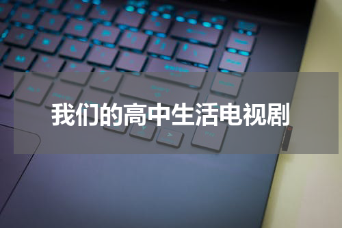 我们的高中生活电视剧