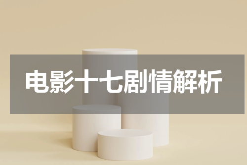 电影十七剧情解析