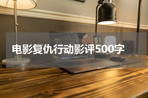 电影复仇行动影评500字
