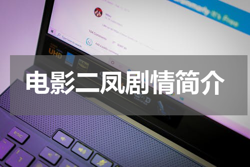 电影二凤剧情简介