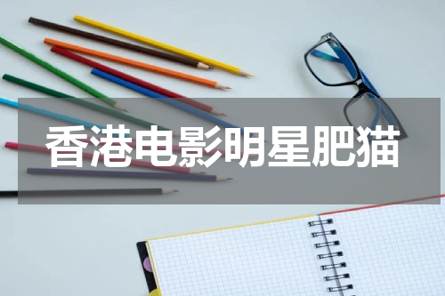 香港电影明星肥猫