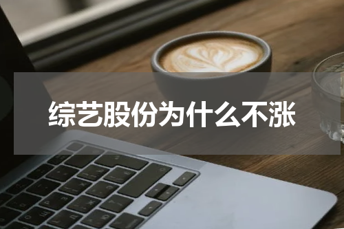 综艺股份为什么不涨