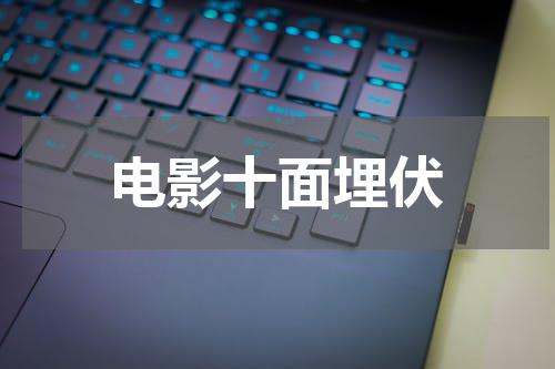 电影十面埋伏