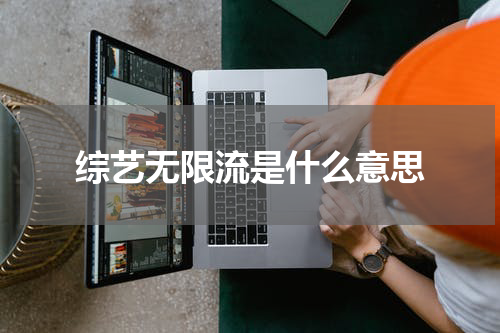 综艺无限流是什么意思