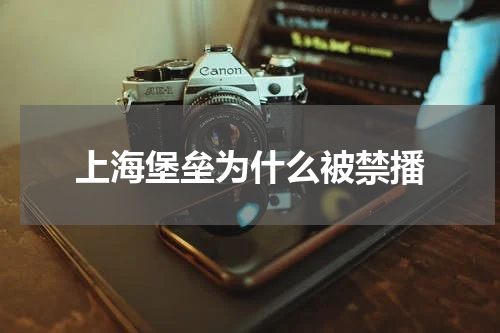 上海堡垒为什么被禁播