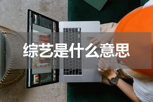 综艺是什么意思