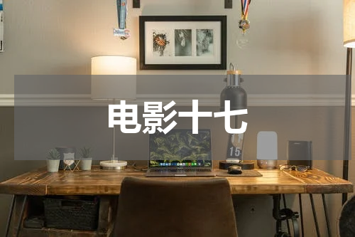 电影十七