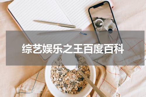 综艺娱乐之王百度百科