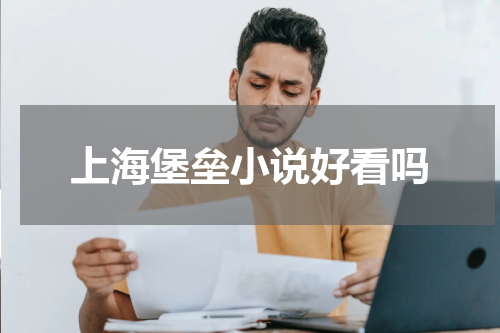 上海堡垒小说好看吗