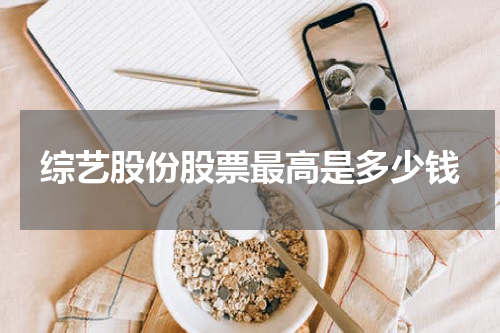 综艺股份股票最高是多少钱
