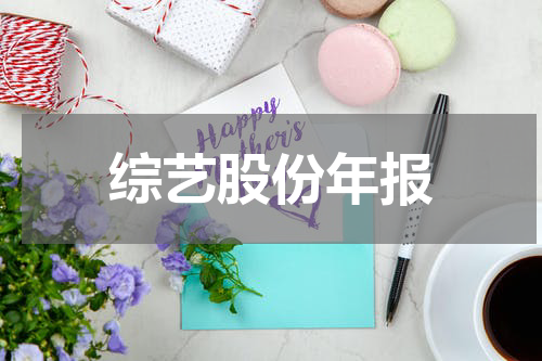 综艺股份年报