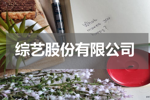 综艺股份有限公司