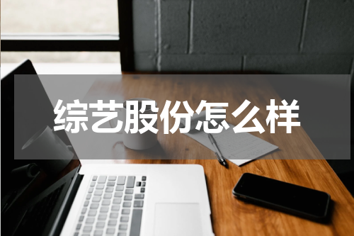 综艺股份怎么样
