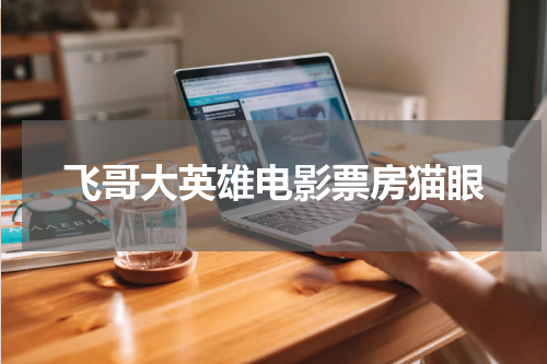 飞哥大英雄电影票房猫眼