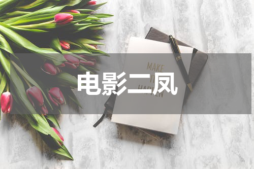 电影二凤
