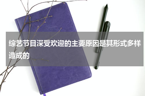 综艺节目深受欢迎的主要原因是其形式多样造成的