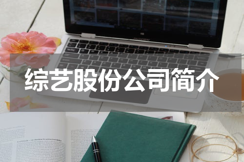 综艺股份公司简介