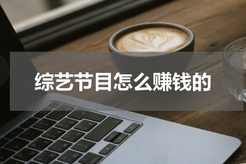 综艺节目怎么赚钱的
