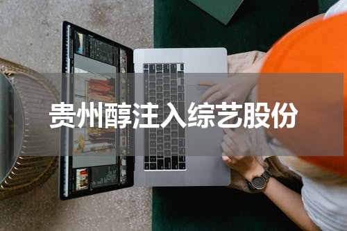贵州醇注入综艺股份
