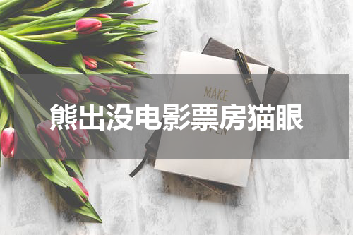 熊出没电影票房猫眼
