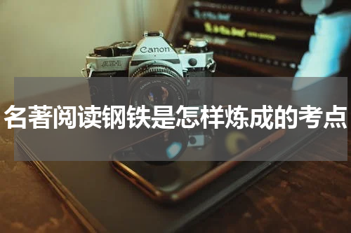 名著阅读钢铁是怎样炼成的考点